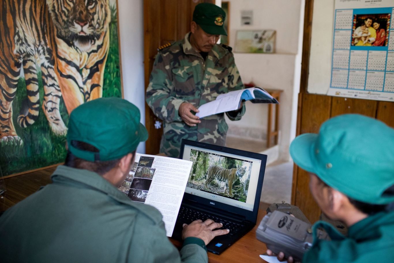 Sự trở lại của loài hổ ở Nepal và Bhutan